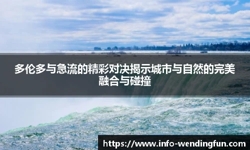 多伦多与急流的精彩对决揭示城市与自然的完美融合与碰撞